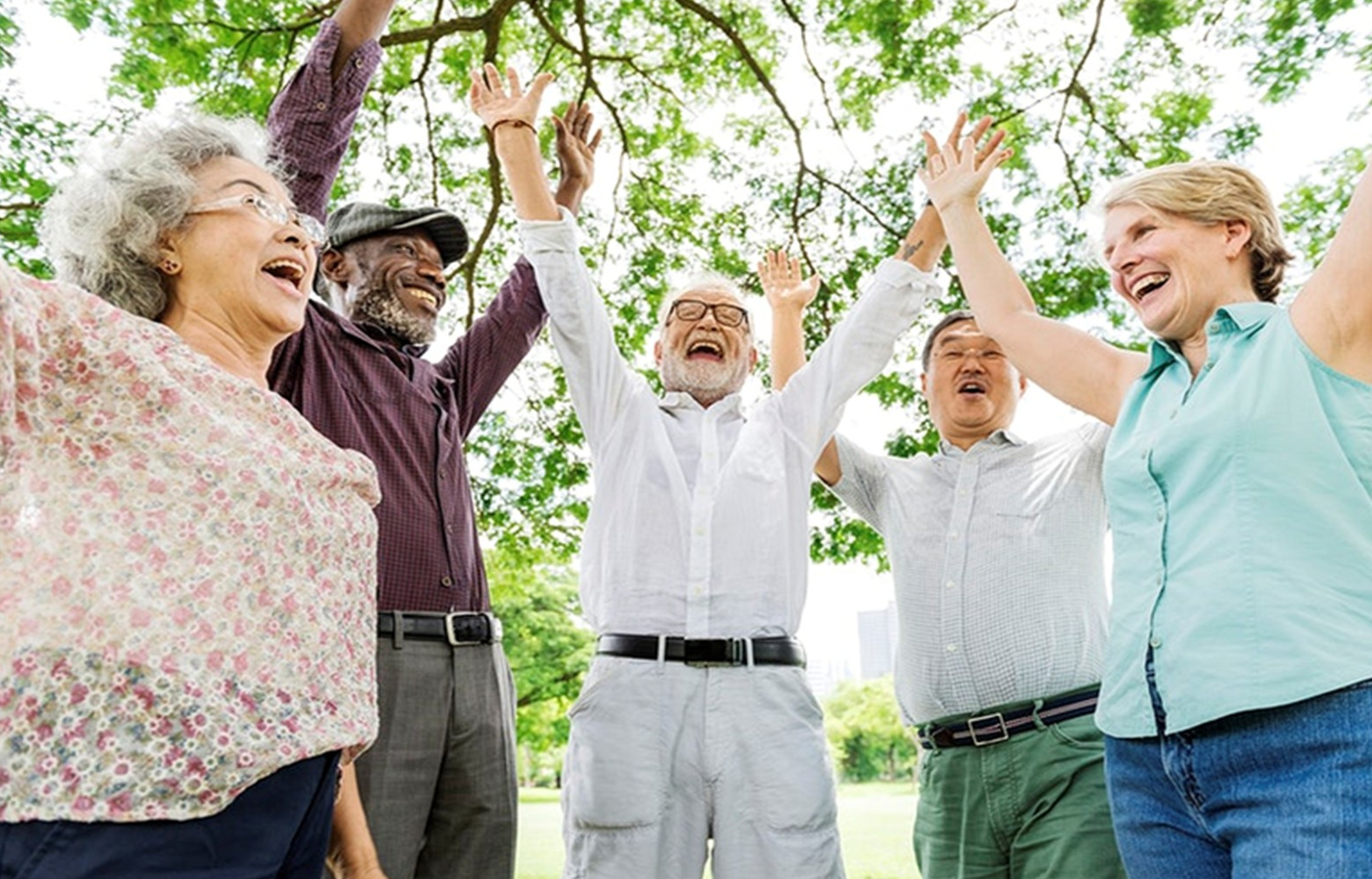 Group of joyful seniors celebrating together with raised hands in a park
